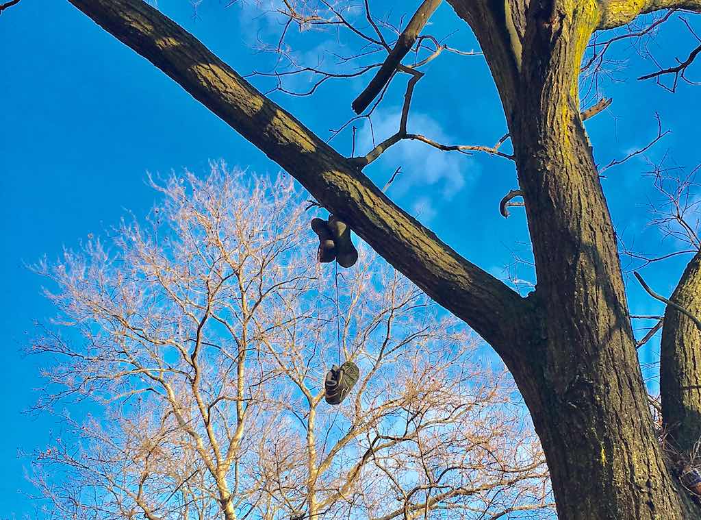 shoes on power lines