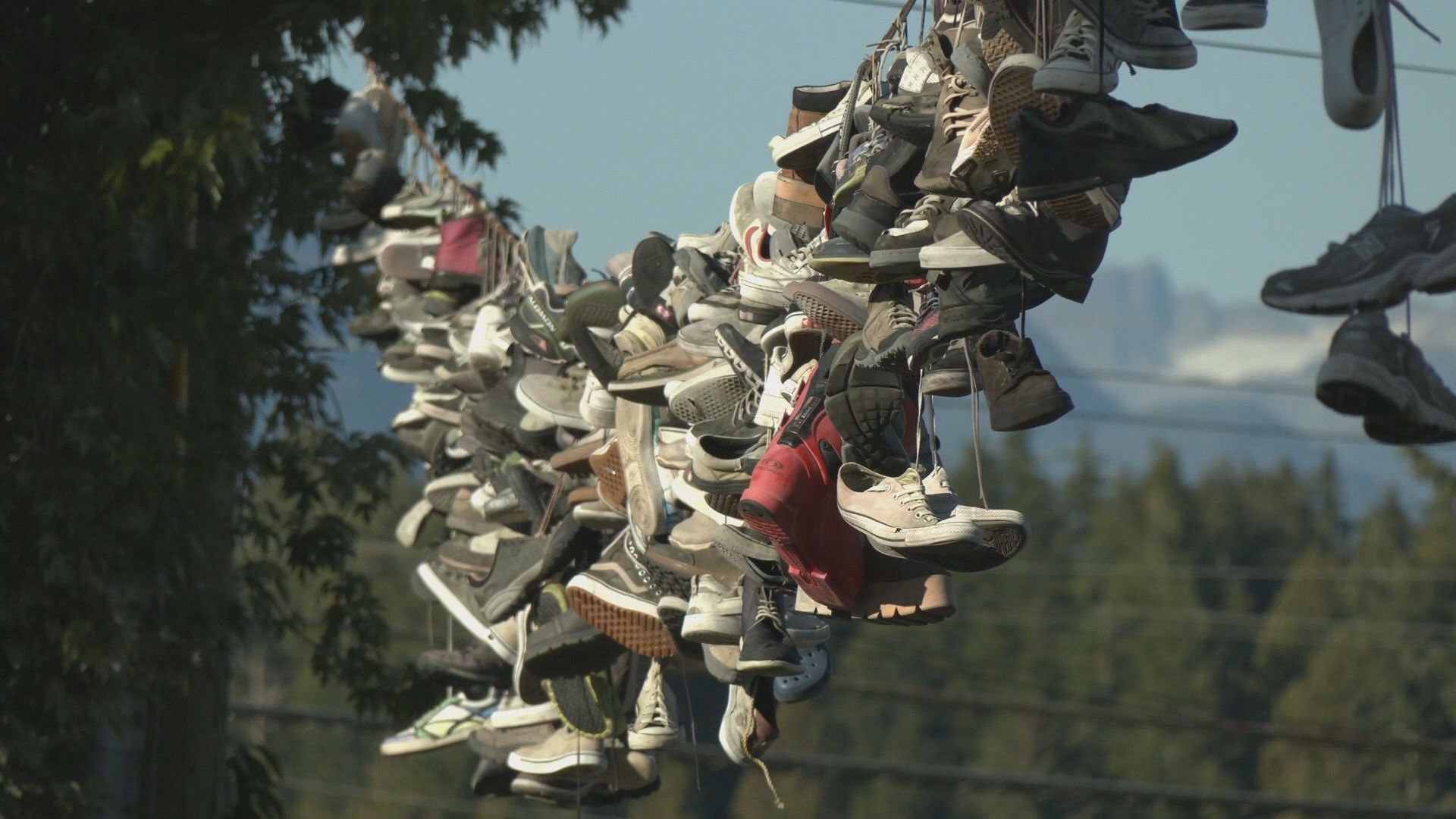 Shoes on Power Lines